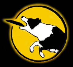 http://www.endless-dog-fun.nl/nieuwe-logo2.jpg